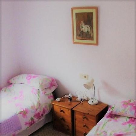Recovery Mountain 2 Separate Beds In Room B&B Alicante Exteriör bild