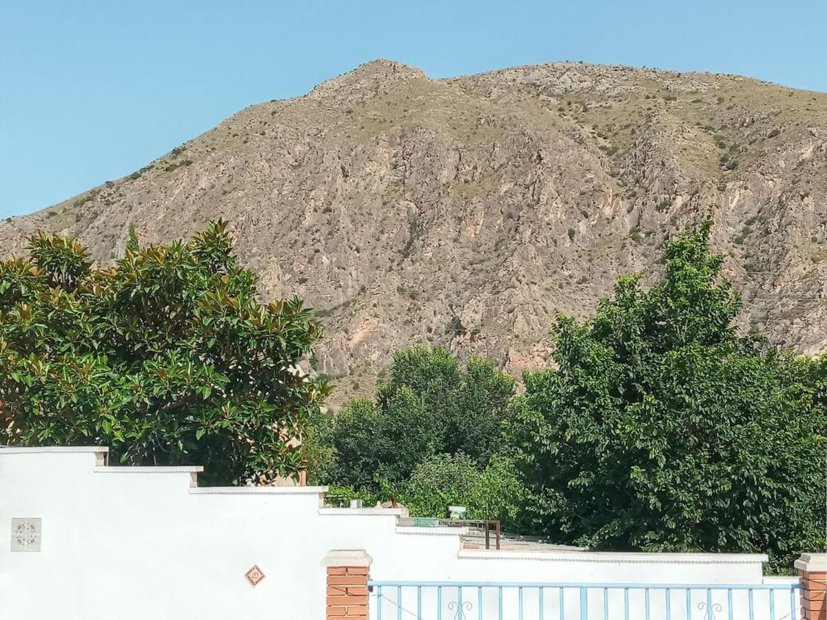 Recovery Mountain 2 Separate Beds In Room B&B Alicante Exteriör bild