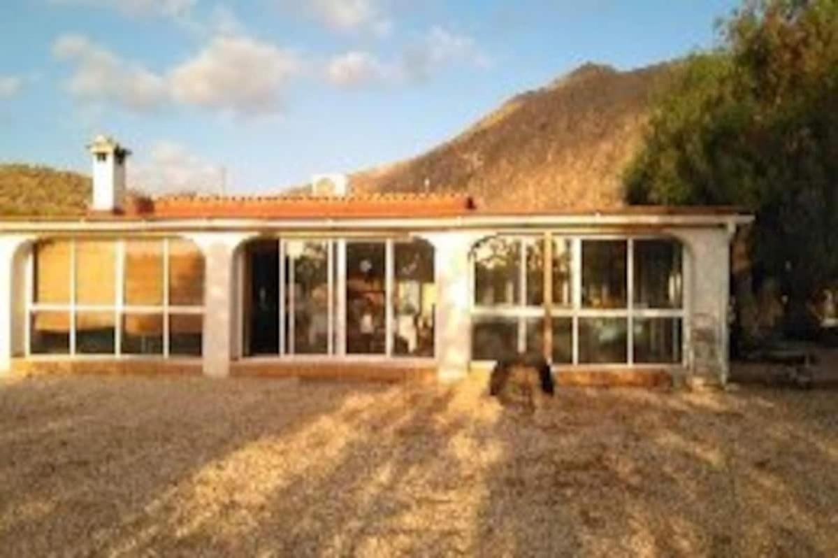 Recovery Mountain 2 Separate Beds In Room B&B Alicante Exteriör bild